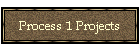 Process 1 Projects