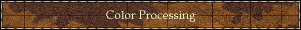 Color Processing